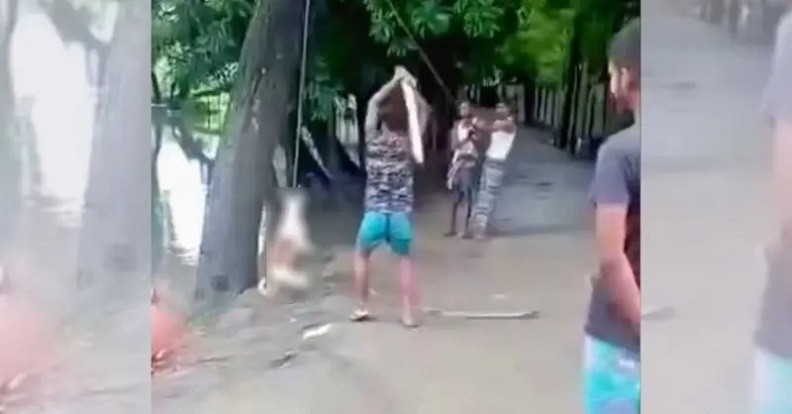 What does the law say about the Bakerganj dog killers?