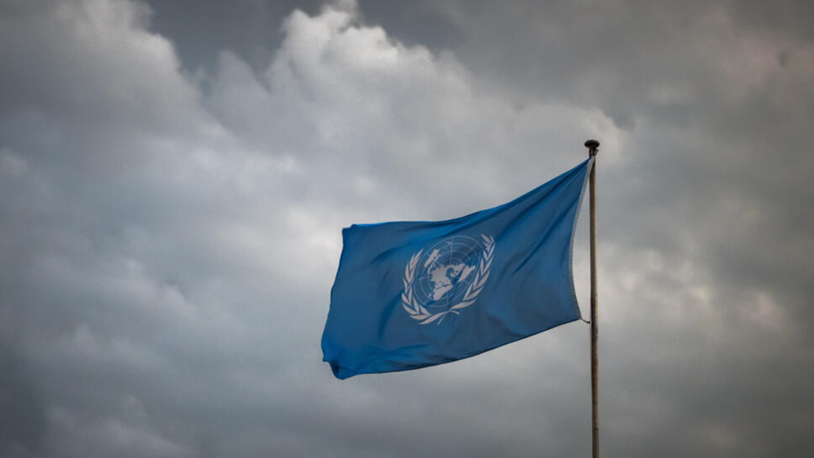 UN says record 383 aid workers killed in 2024