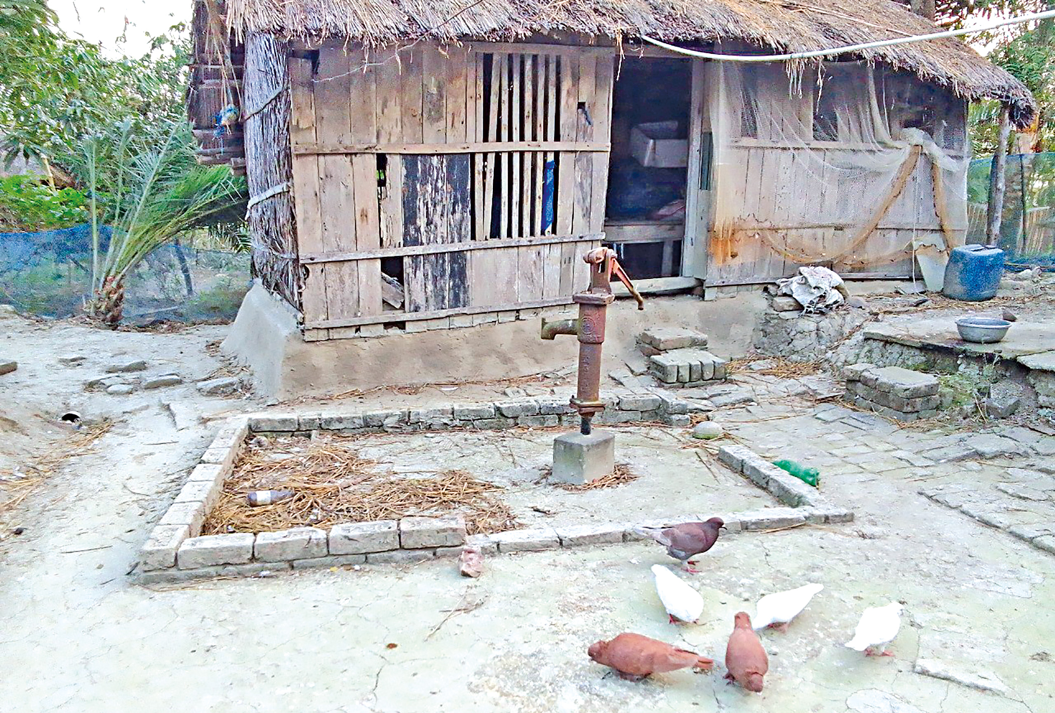 How salinity corrodes the lives of Sundarbans women