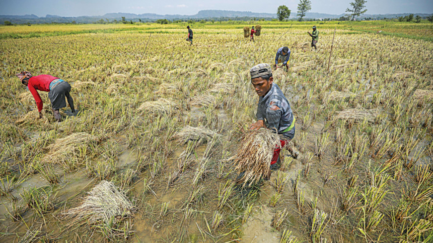 The fight for safe food production in Bangladesh