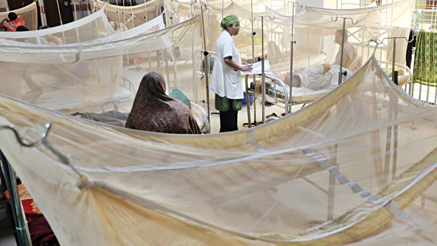 Three more die of dengue, 1,007 get hospitalised