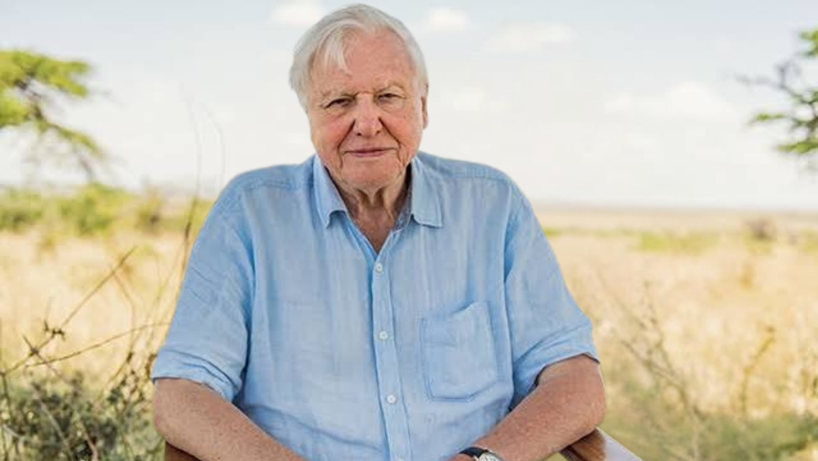 Sir David Attenborough, 99, breaks record as oldest Daytime Emmy winner