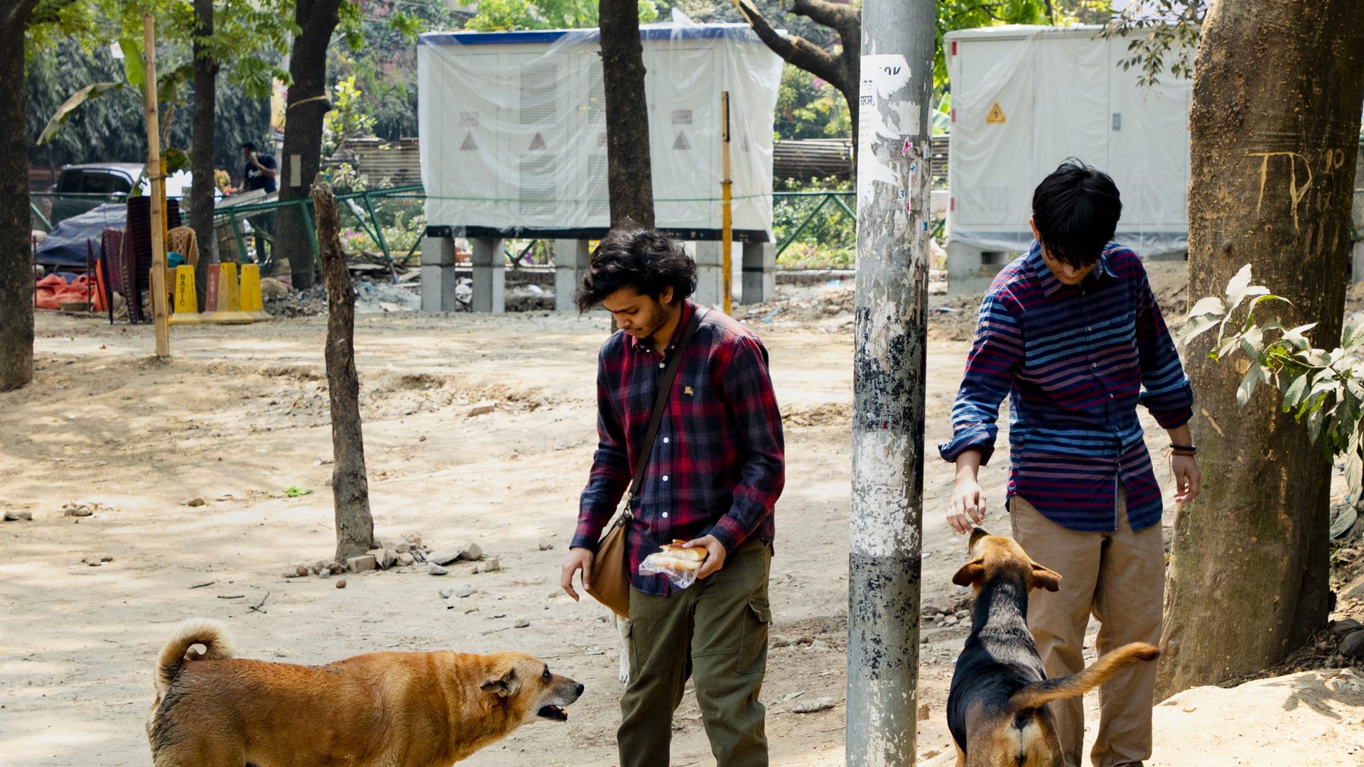 Violence against stray animals has to stop