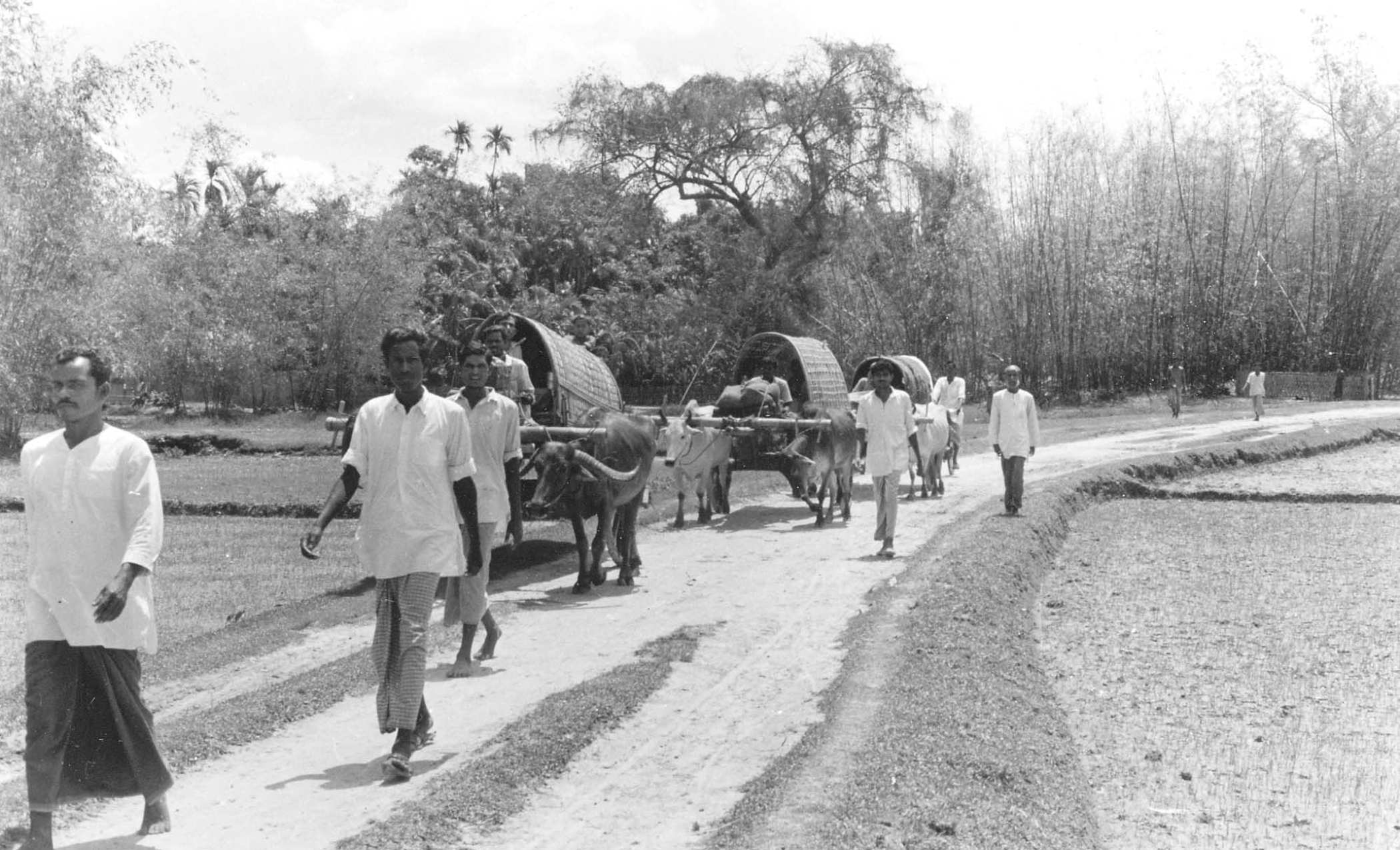 The war I never saw, but inherited