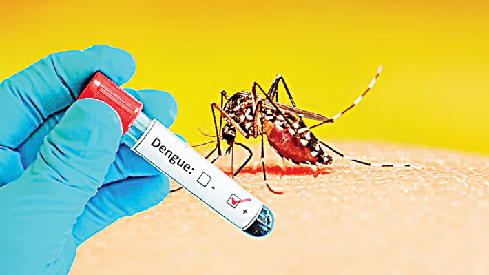 Why Chattogram sees a spike in dengue every November