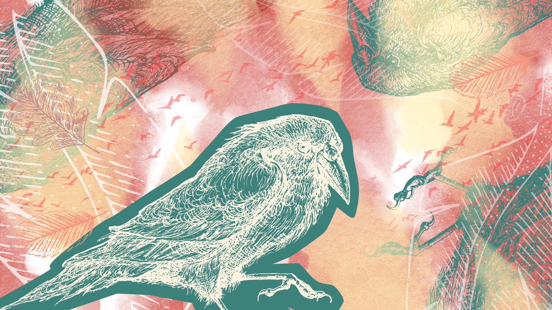 Where they all disappear