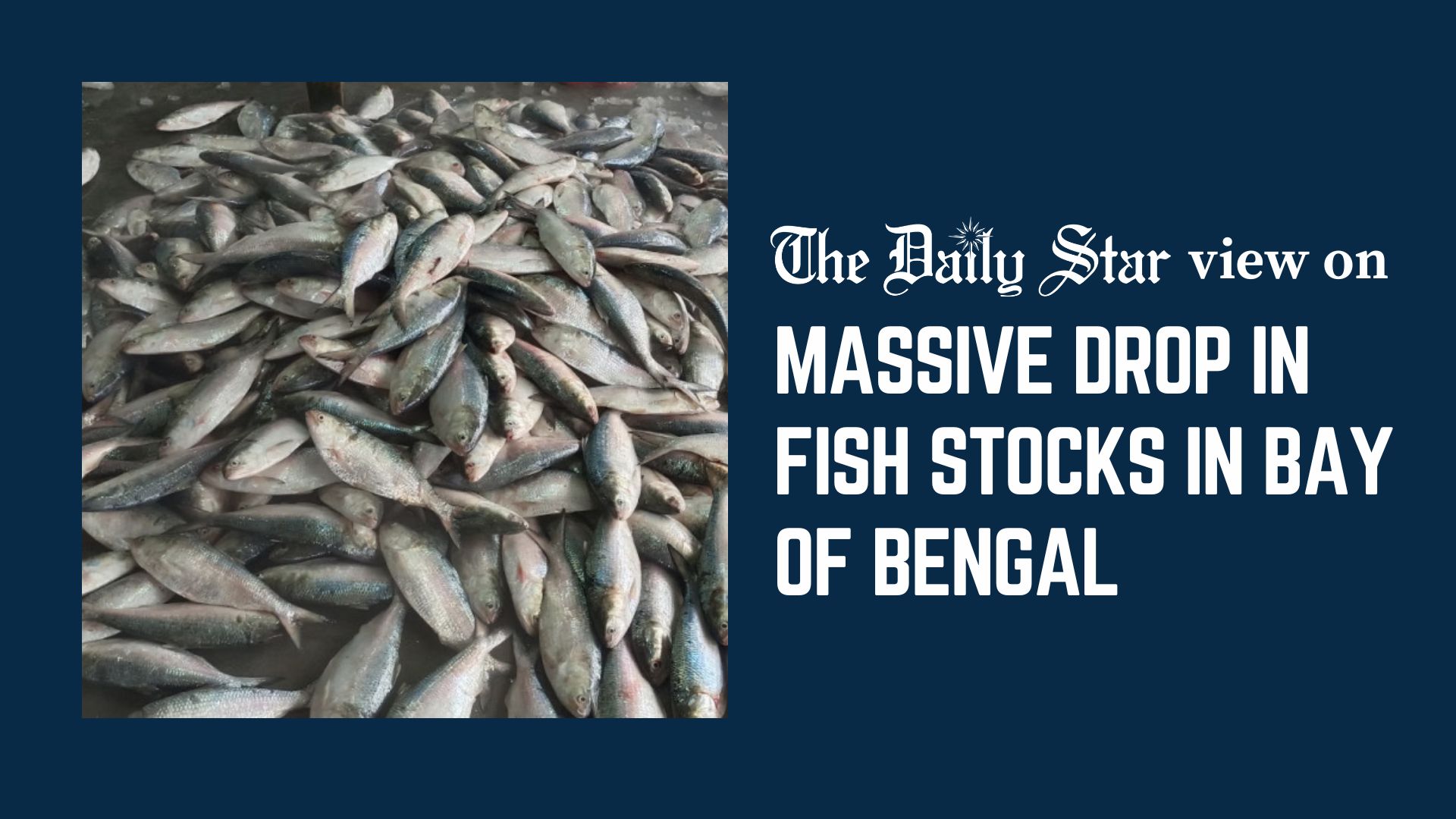 A marine crisis we can no longer ignore