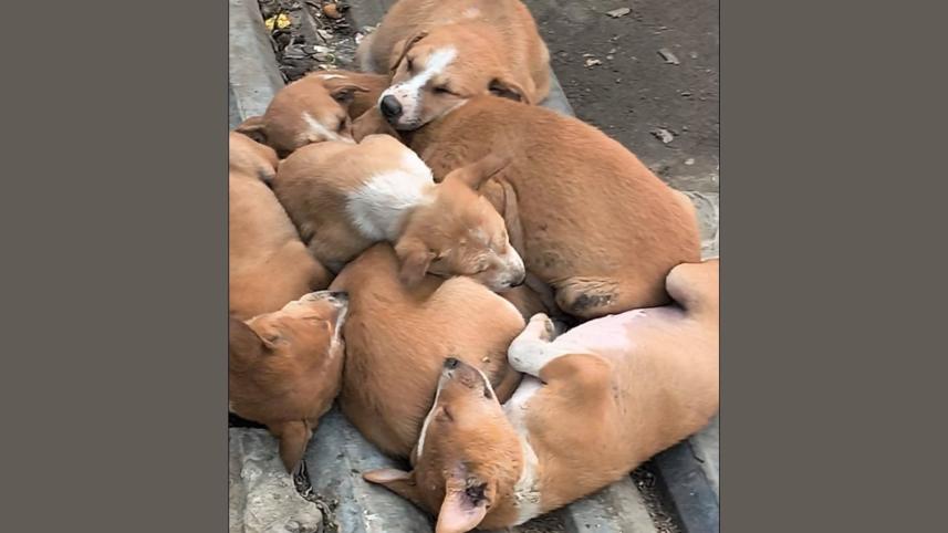 Untitled design (7).jpg