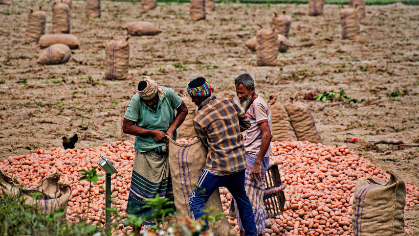 Bangladesh potato farmers crisis 2026