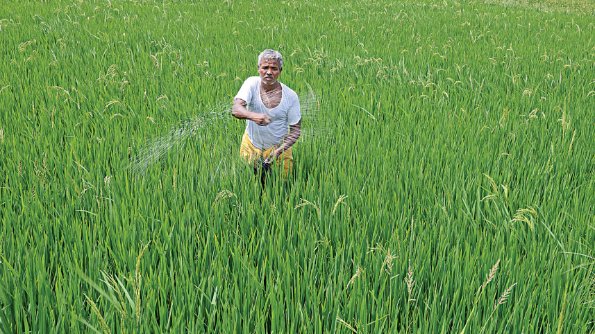 India-fertiliser.jpg