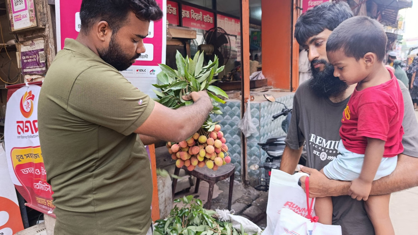 litchi production in Pabna 2026