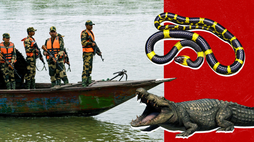 Bangladesh India border security with crocodile snake