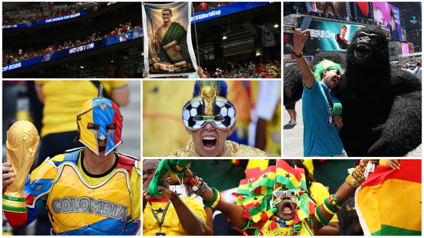 Fans color collage.png