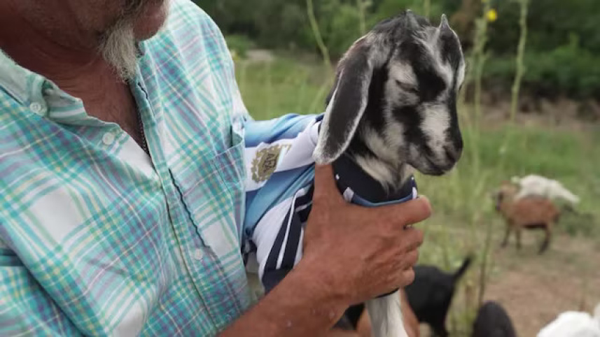 Goat Messi (1).jpg