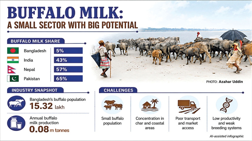 buffalo-milk-production.jpg