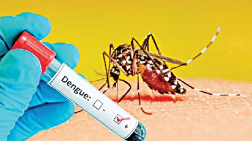 dengue-vaccine.jpg