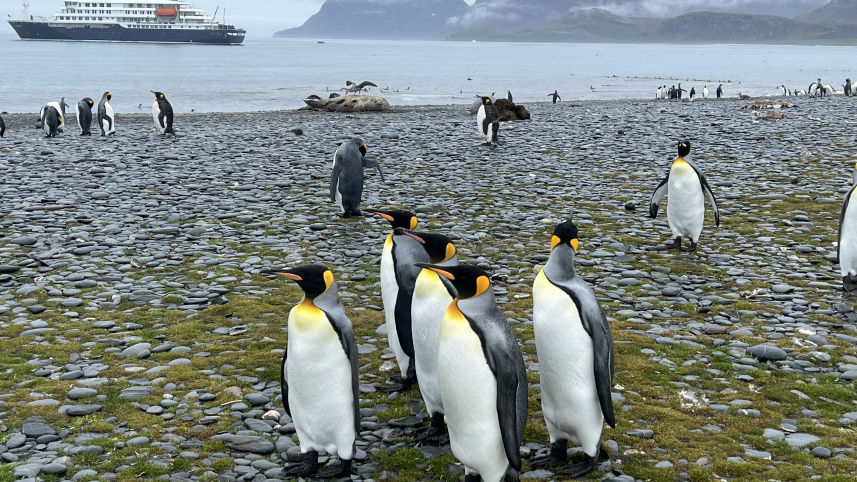 Bangladesh to Antarctica Planning the journey to the end of the world