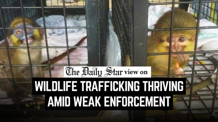 Editorial-2Wildlife_trafficking_thriving_.jpg