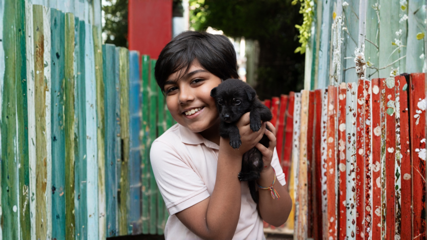 How to help your child cope with the loss of a pet