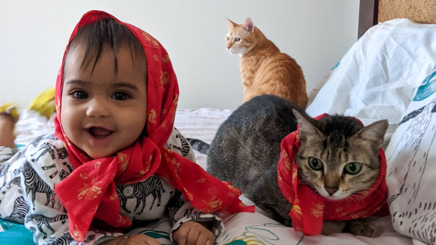 WhatsApp Image 2026-08-17 at 5.08.19 PM.jpeg