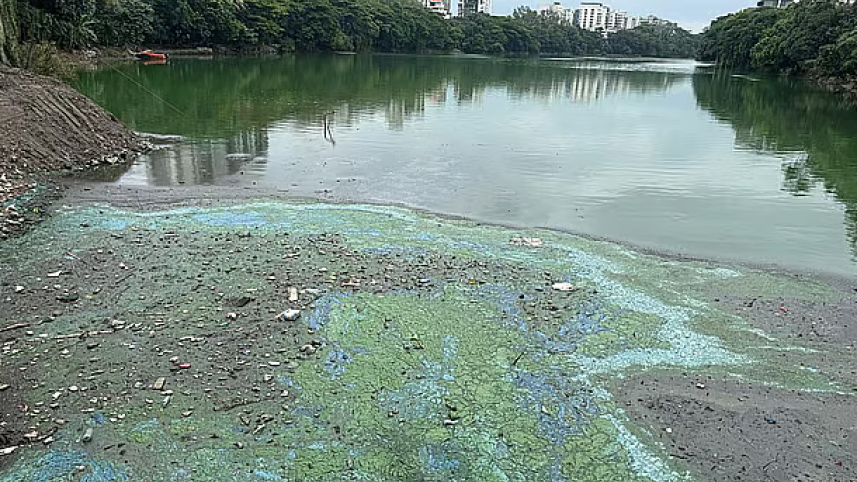 LakeGulshan_Pollution_PAlo.PNG