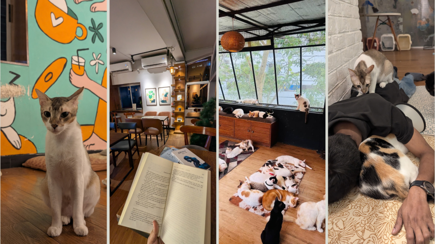 Can Dhaka’s rare pet cafés survive beyond the social media trend
