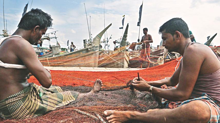 Ban on hilsa fishing...