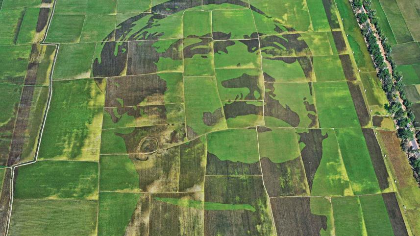 bangabandhu sheikh mujibur rahman