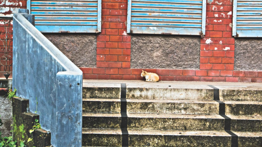 Edifices of the past 