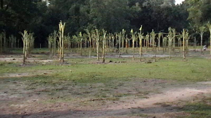 200-year-old playground.jpg