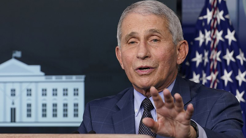 fauci web.jpg