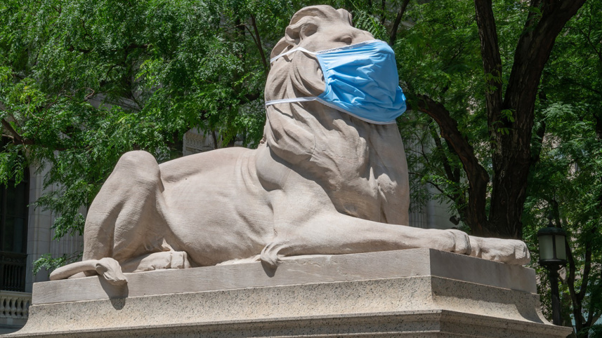 zoo web representation.jpg