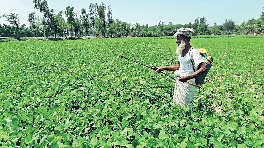 A-farmer-sprays-pesticides.jpg