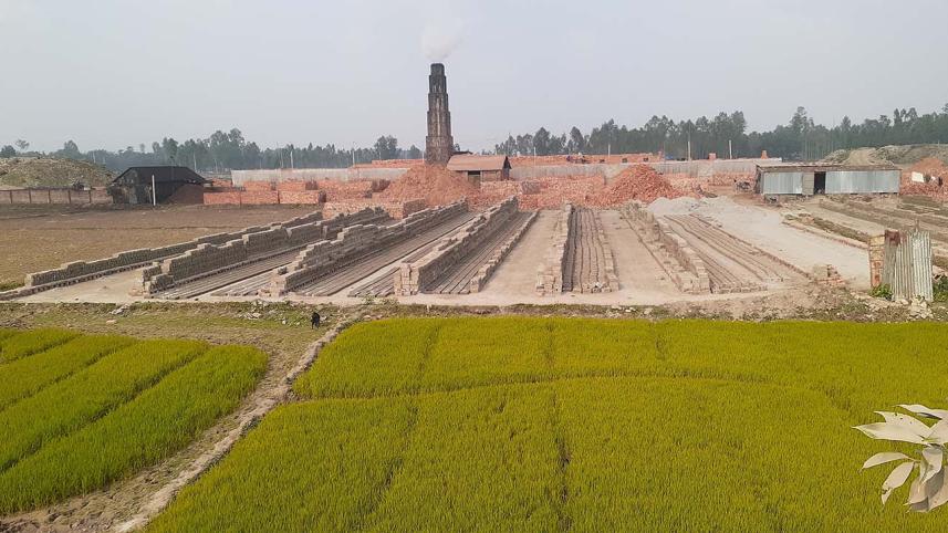 Kurigram illegal bricks-web.jpg