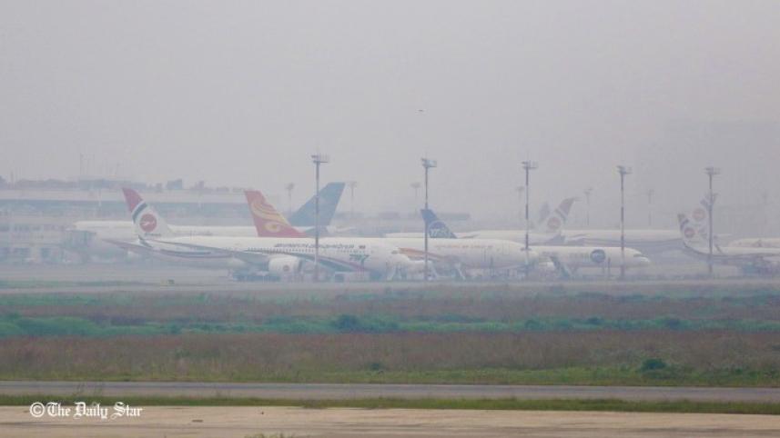 nib_photo_dec_28 (1).jpg