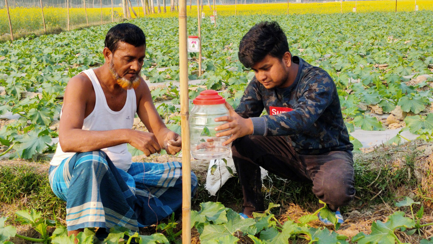 University-student-squash-farming.jpg