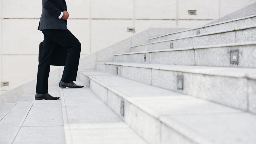 career-ladder resized.jpg