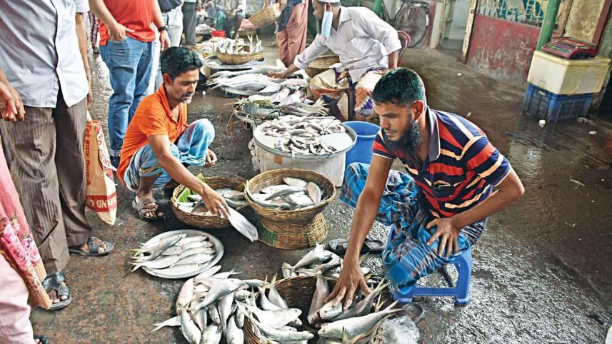 HIlsa.jpg