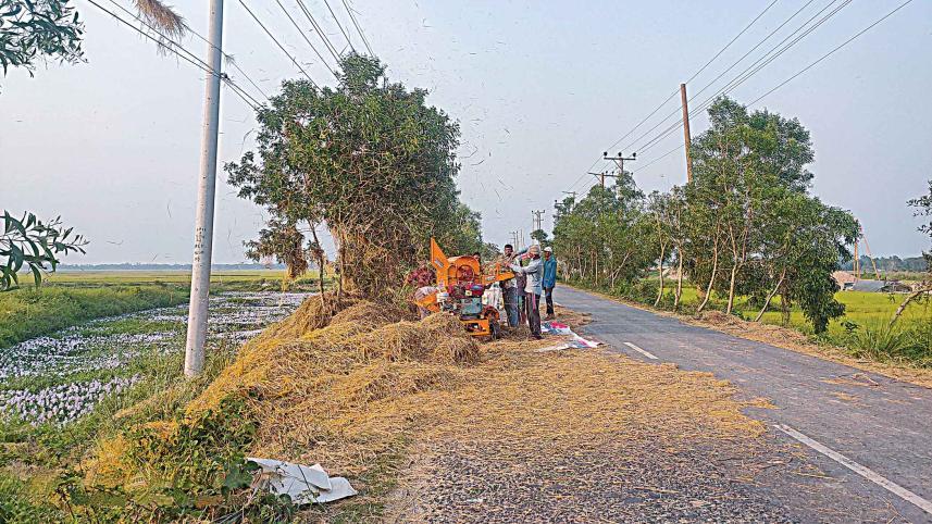 road-side-paddy.jpg