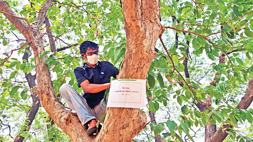 Suhrawardy-Udyan-Trees-freedom-fighters.jpg