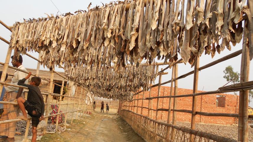 fish-drying-centres-Cox-Bazar.jpg