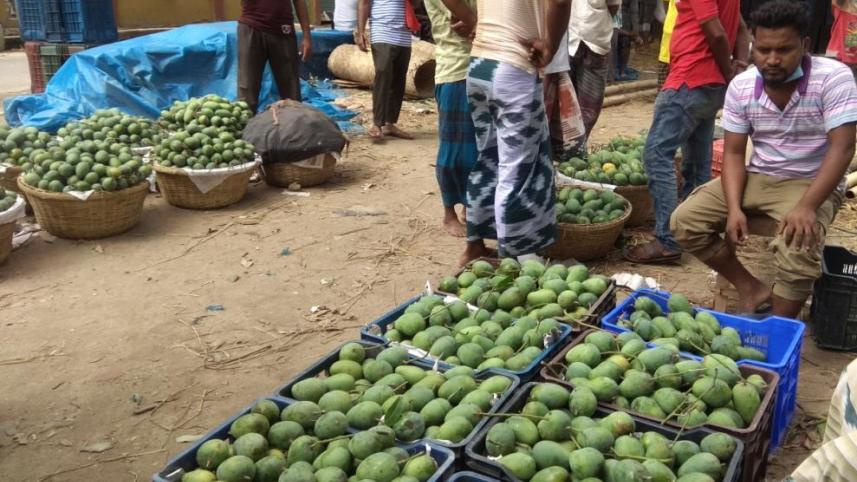Mango_Chapainawabganj_3.jpg