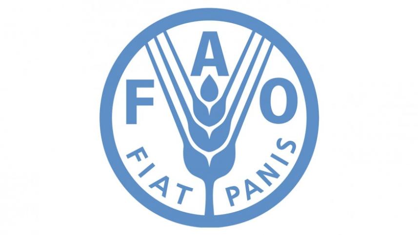 fao-logo.jpg