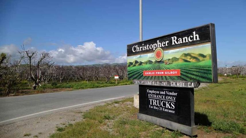 Christopher-Ranch-garlic-farm.jpg