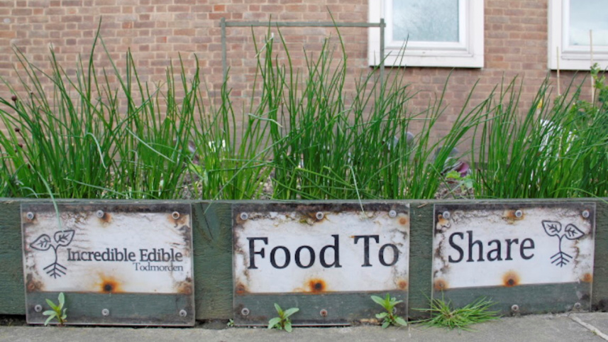 A handful of volunteers.jpg