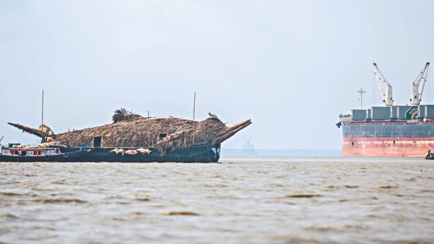 A JOURNEY BY BOAT, FOR DOLPHINS