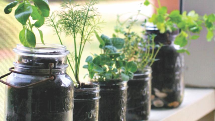 A personal herb supply