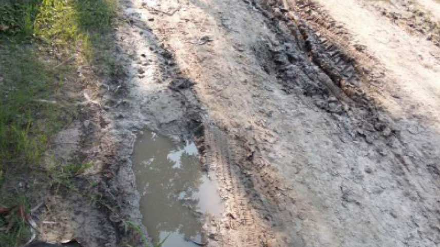 A road at Dhanikhola village.jpg
