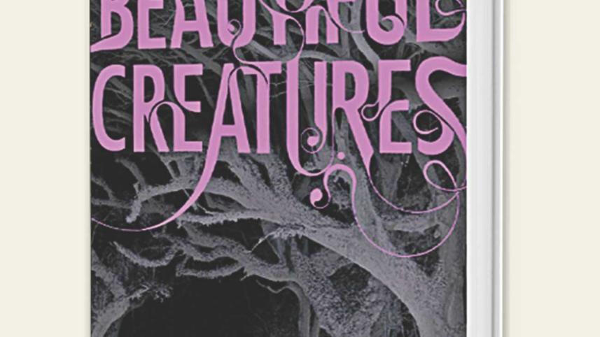 A Surprisingly Not Overdone Fantasy-Romance