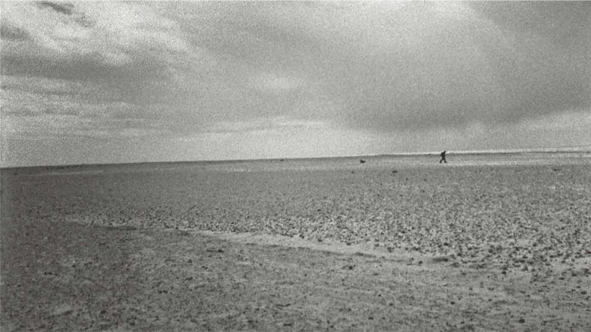 A walk in the wake of destruction